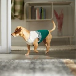 Frisco Tropical Palm Dog & Cat T-Shirt -Meowverse Store 312072 PT8. AC SS1800 V1644425897