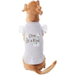 Frisco One Of A Kind Dog & Cat T-Shirt -Meowverse Store 312080 PT3. AC SS1800 V1673303002