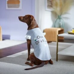 Frisco One Of A Kind Dog & Cat T-Shirt -Meowverse Store 312080 PT5. AC SS1800 V1673304060