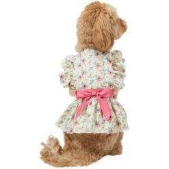 Frisco Dainty Pink Floral Dog & Cat Dress -Meowverse Store 312136 PT2. AC SS1800 V1703872208