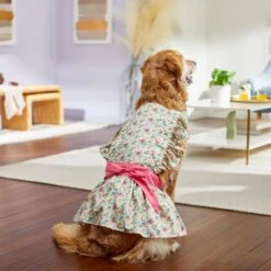 Frisco Dainty Pink Floral Dog & Cat Dress -Meowverse Store 312136 PT7. AC SS1800 V1703872208