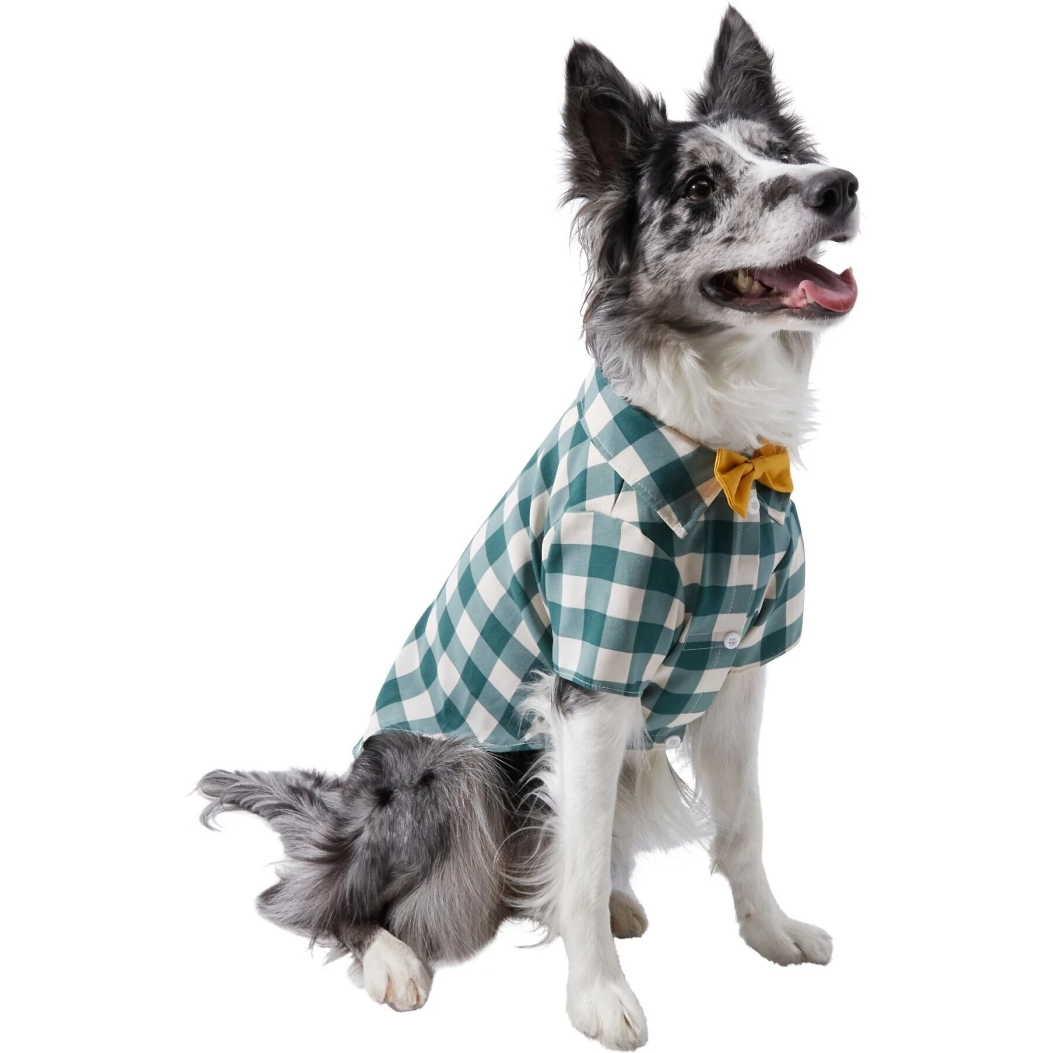 Frisco Boho Plaid Dog & Cat Shirt 1 Frisco Boho Plaid Dog & Cat Shirt