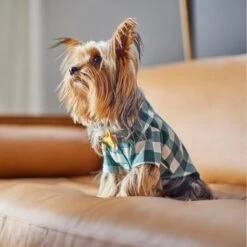 Frisco Boho Plaid Dog & Cat Shirt 15 Frisco Boho Plaid Dog & Cat Shirt -Meowverse Store 312184 PT8. AC SS1800 V1644524330