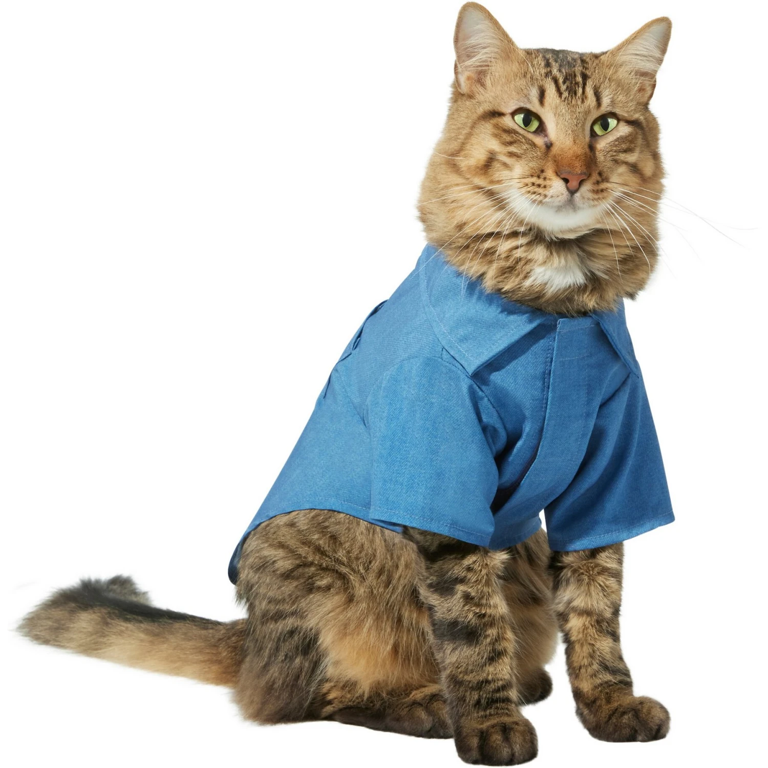 Frisco Chambray Pineapple Dog & Cat Shirt 3 Frisco Chambray Pineapple Dog & Cat Shirt - Image 3