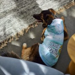 Frisco Just Chillin Dog & Cat Hoodie -Meowverse Store 312233 PT8. AC SS1800 V1644881922