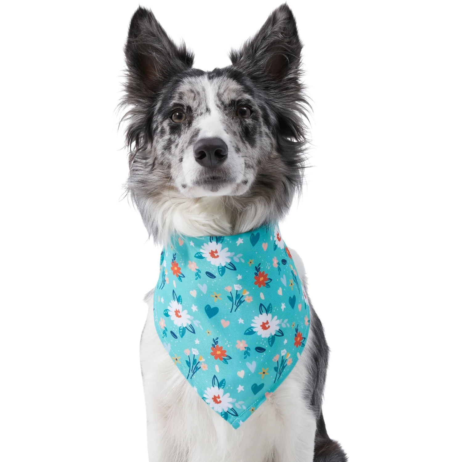 Frisco Spring Floral Dog & Cat Bandana 1 Frisco Spring Floral Dog & Cat Bandana