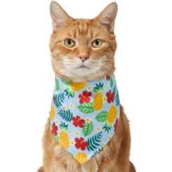Frisco Hawaiian Pineapple Dog & Cat Bandana -Meowverse Store 312300 PT2. AC SS1800 V1644878643