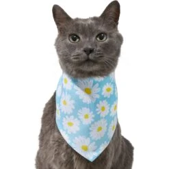 Frisco Daisy Dog & Cat Bandana -Meowverse Store 312303 PT2. AC SS1800 V1644883588
