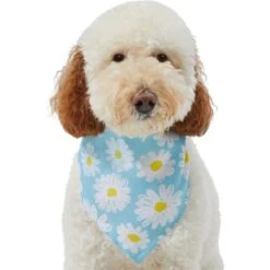 Frisco Daisy Dog & Cat Bandana -Meowverse Store 312303 PT3. AC SS1800 V1673302704