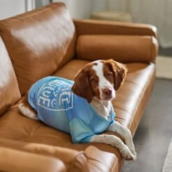 Frisco Peace Love Rescue Dog & Cat T-Shirt -Meowverse Store 315068 PT8. AC SS1800 V1646351303