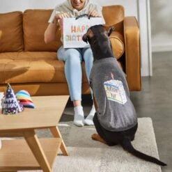 Frisco Birthday Pup Dog & Cat T-Shirt -Meowverse Store 315076 PT8. AC SS1800 V1646438210