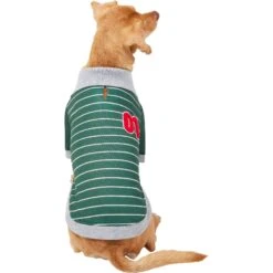 Frisco Green Rugby Dog & Cat Polo Shirt -Meowverse Store 315084 PT3. AC SS1800 V1646442228