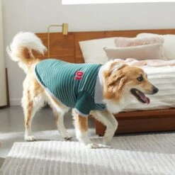 Frisco Green Rugby Dog & Cat Polo Shirt -Meowverse Store 315084 PT8. AC SS1800 V1646436749