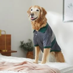 Frisco Green Striped Polo Dog & Cat Shirt -Meowverse Store 315091 PT8. AC SS1800 V1646434389