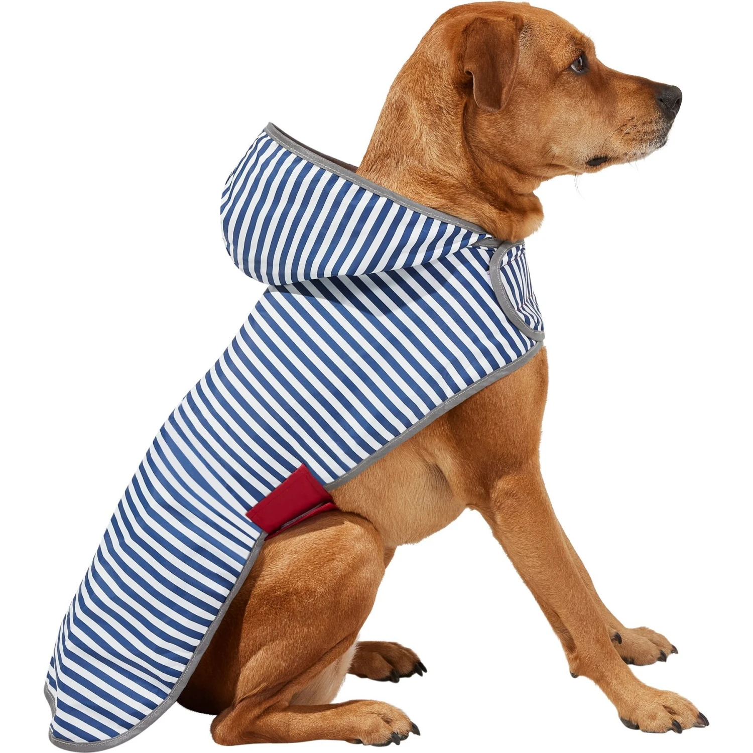 Frisco Lightweight Red Reversible Packable Dog Raincoat 3 Frisco Lightweight Red Reversible Packable Dog Raincoat - Image 3