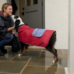 Frisco Lightweight Red Reversible Packable Dog Raincoat 15 Frisco Lightweight Red Reversible Packable Dog Raincoat -Meowverse Store 315109 PT8. AC SS1800 V1646437779