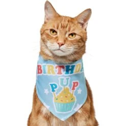 Frisco Birthday Pup Dog & Cat Bandana -Meowverse Store 315130 PT2. AC SS1800 V1646437964