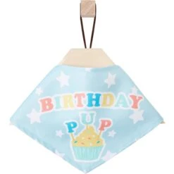 Frisco Birthday Pup Dog & Cat Bandana -Meowverse Store 315130 PT4. AC SS1800 V1646441905