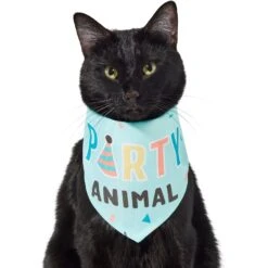Frisco Party Animal Dog & Cat Bandana -Meowverse Store 315136 PT2. AC SS1800 V1646438016