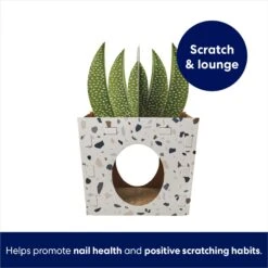 Frisco Potted Succulent Cardboard Cat House 8 Frisco Potted Succulent Cardboard Cat House -Meowverse Store 317723 PT2. AC SS1800 V1689342085