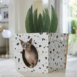 Frisco Potted Succulent Cardboard Cat House 10 Frisco Potted Succulent Cardboard Cat House -Meowverse Store 317723 PT4. AC SS1800 V1688677260