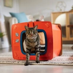 Frisco TV Set Cardboard Cat House 10 Frisco TV Set Cardboard Cat House -Meowverse Store 317731 PT4. AC SS1800 V1688677247