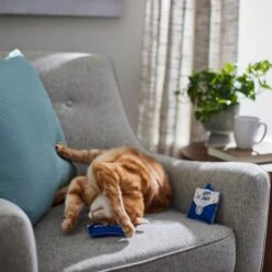 Frisco Father's Day Card Felt Cat Toy With Catnip, 2 Count -Meowverse Store 327029 PT3. AC SS1800 V1648667305