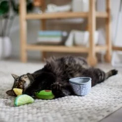 Frisco Guacamole Bowl Cat Toy With Catnip, Medium, 4 Count -Meowverse Store 327059 PT3. AC SS1800 V1645205519
