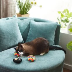 Frisco Pride Buttons Plush Cat Toy With Catnip, 3 Count -Meowverse Store 331688 PT3. AC SS1800 V1647355746