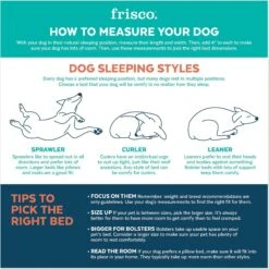 Frisco Cat Donut Bed 10 Frisco Cat Donut Bed -Meowverse Store 333854 PT3. AC SS1800 V1658718001