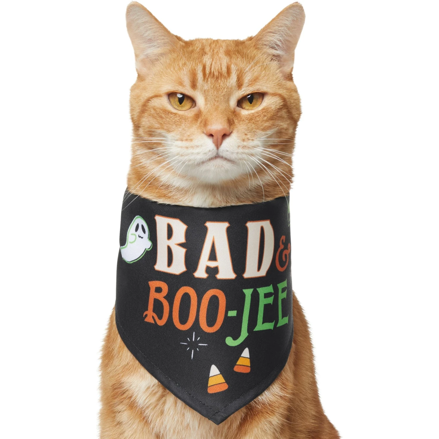 Frisco Bad & Boo-Jee Dog & Cat Costume Bandana 3 Frisco Bad & Boo-Jee Dog & Cat Costume Bandana - Image 3