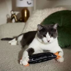 Frisco Halloween A-Paw-Thecary Kicker Plush Cat Toy With Catnip -Meowverse Store 344000 PT3. AC SS1800 V1657657029