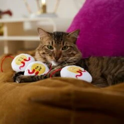 Frisco Halloween Haunted Deviled Eggs Plush Cat Toy With Catnip -Meowverse Store 344058 PT3. AC SS1800 V1657657030