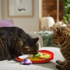 Frisco Halloween Spooky Pizza Interactive Plush Cat Toy With Catnip -Meowverse Store 344066 PT3. AC SS1800 V1657657031