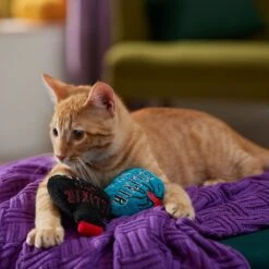 Frisco Halloween Elixirs Plush Cat Toy With Catnip -Meowverse Store 344070 PT3. AC SS1800 V1657657033