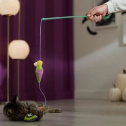 Frisco Halloween Potion Teaser Wand Cat Toy With Catnip 6 Frisco Halloween Potion Teaser Wand Cat Toy With Catnip -Meowverse Store 344076 PT3. AC SS1800 V1657657033