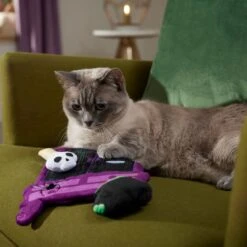 Frisco Halloween Magical Wardrobe Interactive Plush Cat Toy With Catnip 6 Frisco Halloween Magical Wardrobe Interactive Plush Cat Toy With Catnip -Meowverse Store 344078 PT3. AC SS1800 V1657657033