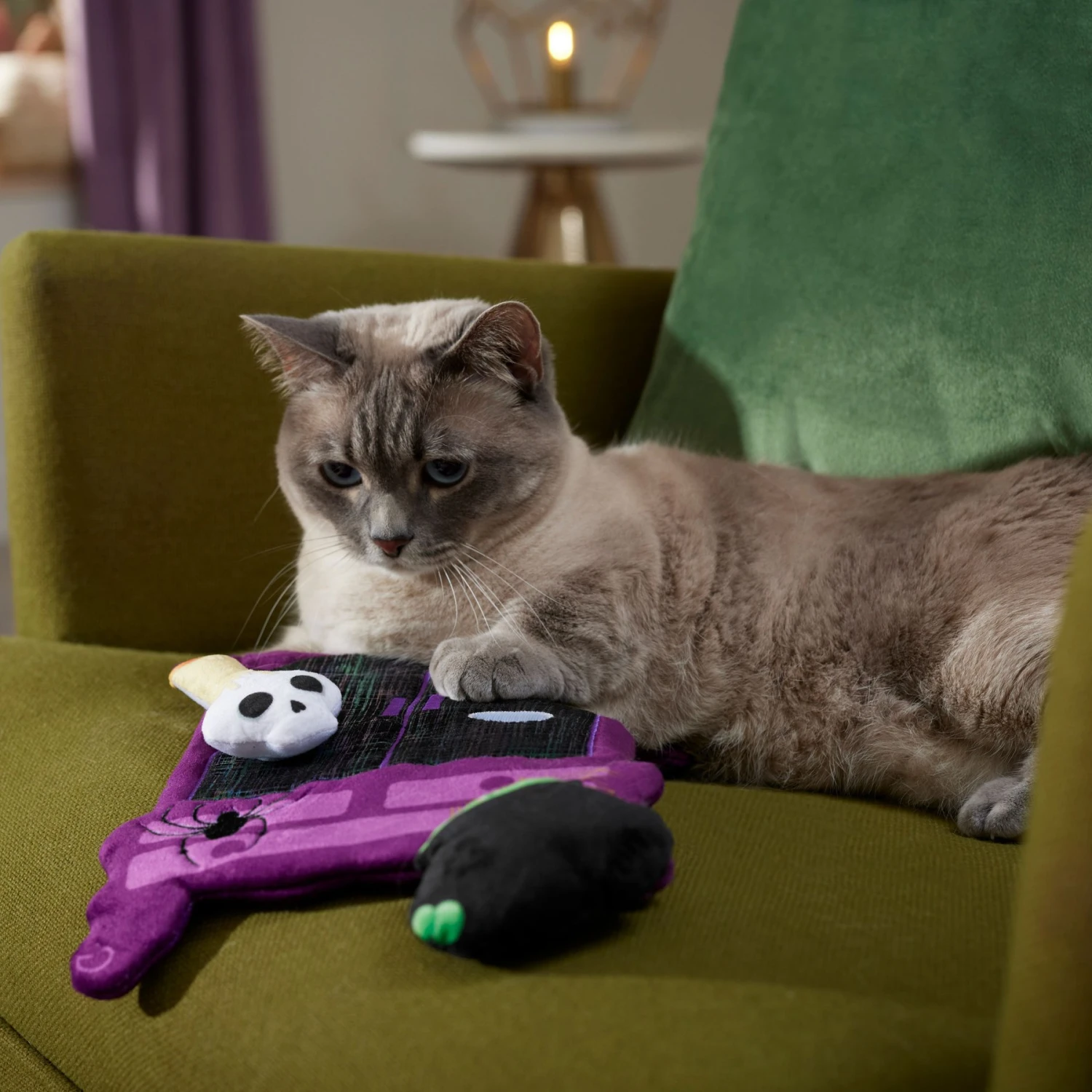 Frisco Halloween Magical Wardrobe Interactive Plush Cat Toy With Catnip 3 Frisco Halloween Magical Wardrobe Interactive Plush Cat Toy With Catnip - Image 3