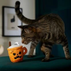 Frisco Halloween Spooky Pumpkin Spice Latte Plush Cat Toy With Catnip -Meowverse Store 344080 PT3. AC SS1800 V1657657033