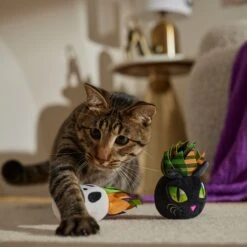 Frisco Halloween Succulents Plush Cat Toy With Catnip, 2 Count -Meowverse Store 344082 PT3. AC SS1800 V1657657035