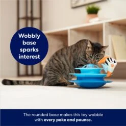 Frisco Fish In Ocean Wobble & Spin Cat Tracks Cat Toy With Catnip -Meowverse Store 345926 PT3. AC SS1800 V1664288803