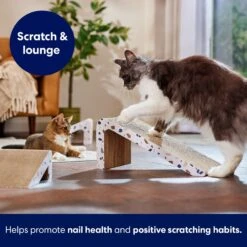 Frisco Nesting Cat Scratcher Toy With Catnip, Modern Terrazzo -Meowverse Store 347213 PT3. AC SS1800 V1659699272