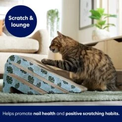 Frisco Nesting Cat Scratcher Toy With Catnip, Tropical Paradise -Meowverse Store 347215 PT3. AC SS1800 V1659699261