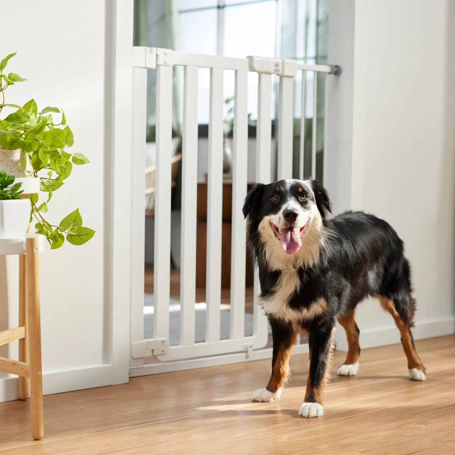 Frisco Wood & Metal Extra Tall Auto-close Dog Gate 1 Frisco Wood & Metal Extra Tall Auto-close Dog Gate
