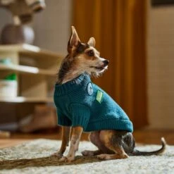 Frisco Teal Button Down Dog & Cat Sweater -Meowverse Store 353580 PT7. AC SS1800 V1660749932