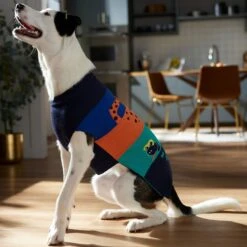 Frisco Anaconda Cheetah Colorblock Dog & Cat Sweater -Meowverse Store 353596 PT7. AC SS1800 V1660749560