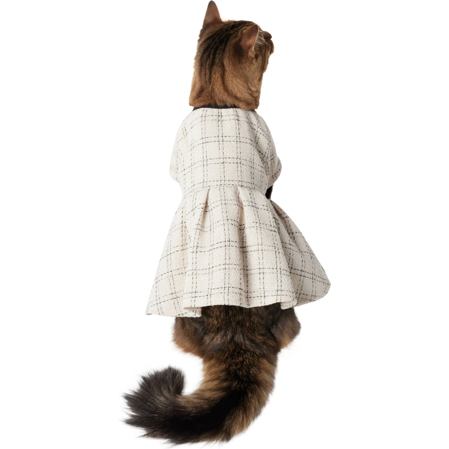 Frisco Tweed Weave Ruffle Skirt Dog & Cat Dress 1 Frisco Tweed Weave Ruffle Skirt Dog & Cat Dress