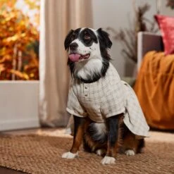 Frisco Tweed Weave Ruffle Skirt Dog & Cat Dress 12 Frisco Tweed Weave Ruffle Skirt Dog & Cat Dress -Meowverse Store 353649 PT6. AC SS1800 V1660750168