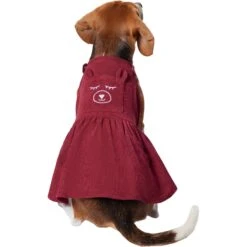 Frisco Sleepy Face Dog & Cat Dress -Meowverse Store 353657 PT2. AC SS1800 V1659008189