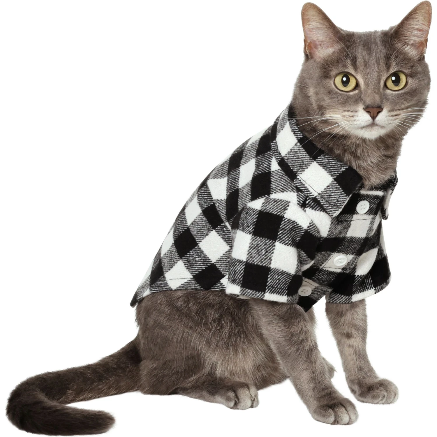 Frisco Black Plaid Dog & Cat Shirt 1 Frisco Black Plaid Dog & Cat Shirt